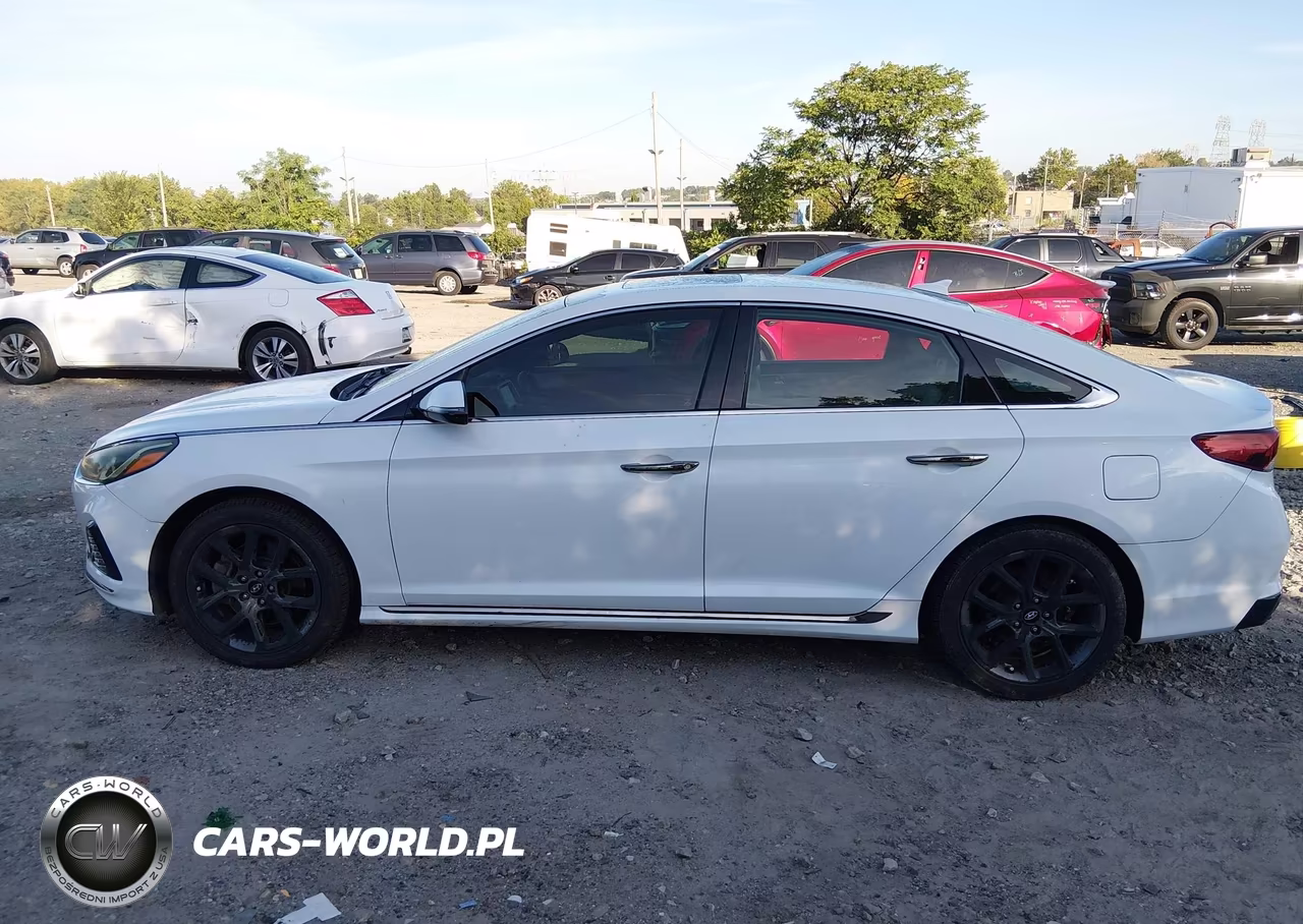 2018 Hyundai Sonata Sport 2.0T VIN:5NPE34AB1JH674764 - 14