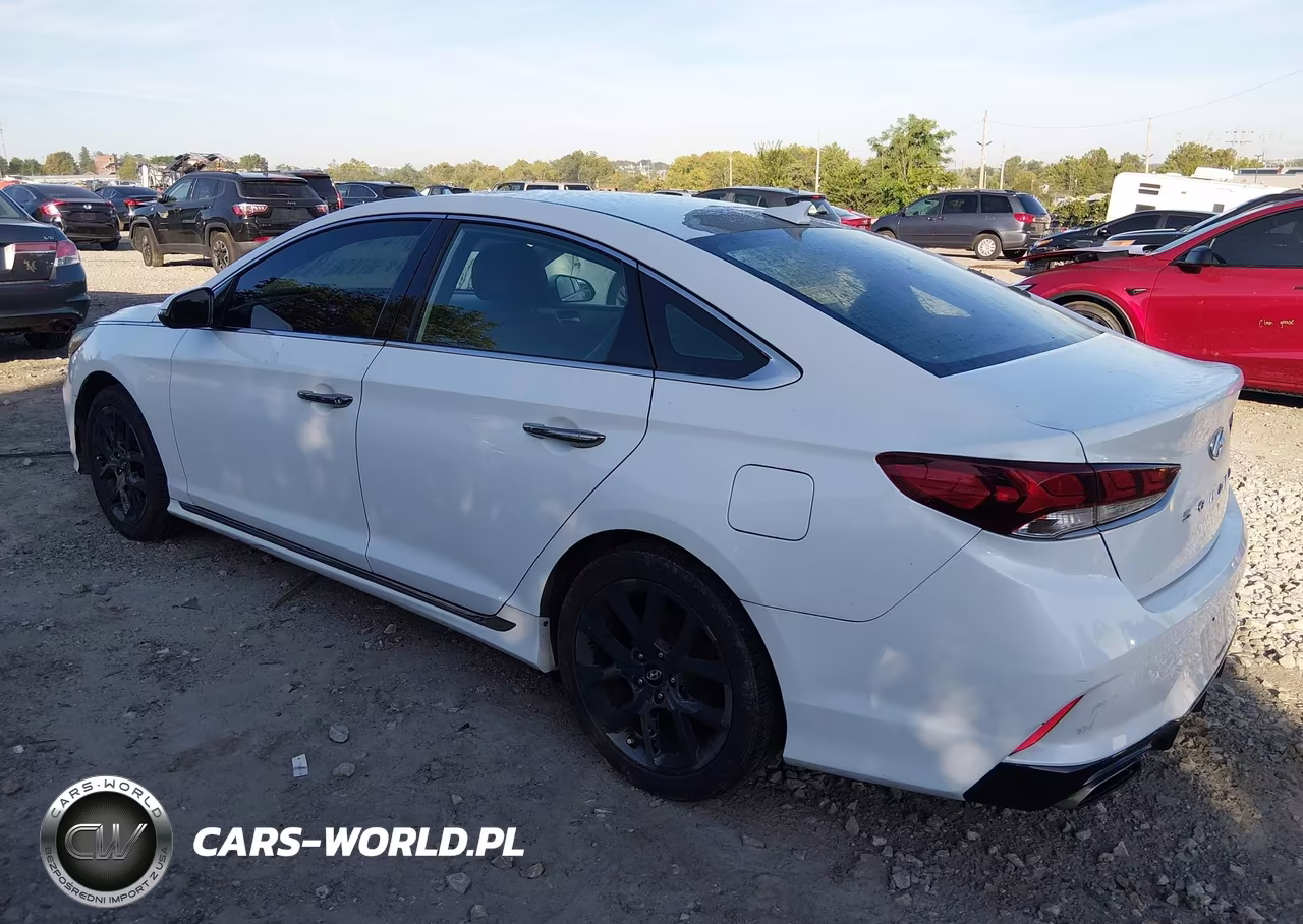 2018 Hyundai Sonata Sport 2.0T VIN:5NPE34AB1JH674764 - 3