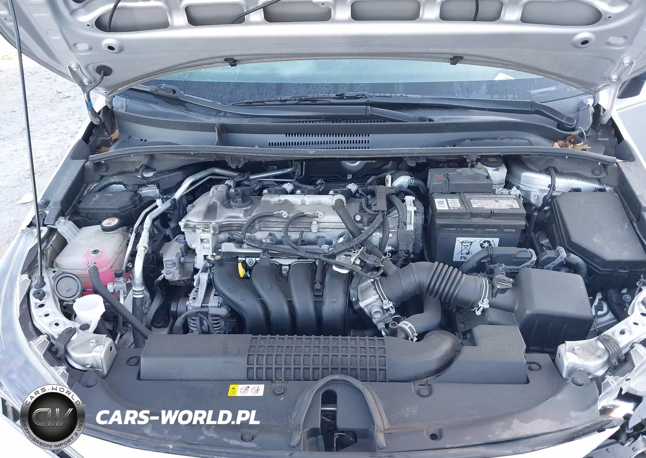 2020 Toyota Corolla Le VIN:5YFEPRAE8LP070307 - 10