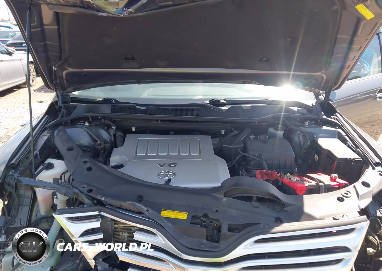 2009 Toyota Venza Base V6 VIN:4T3ZK11A49U004351 - 10