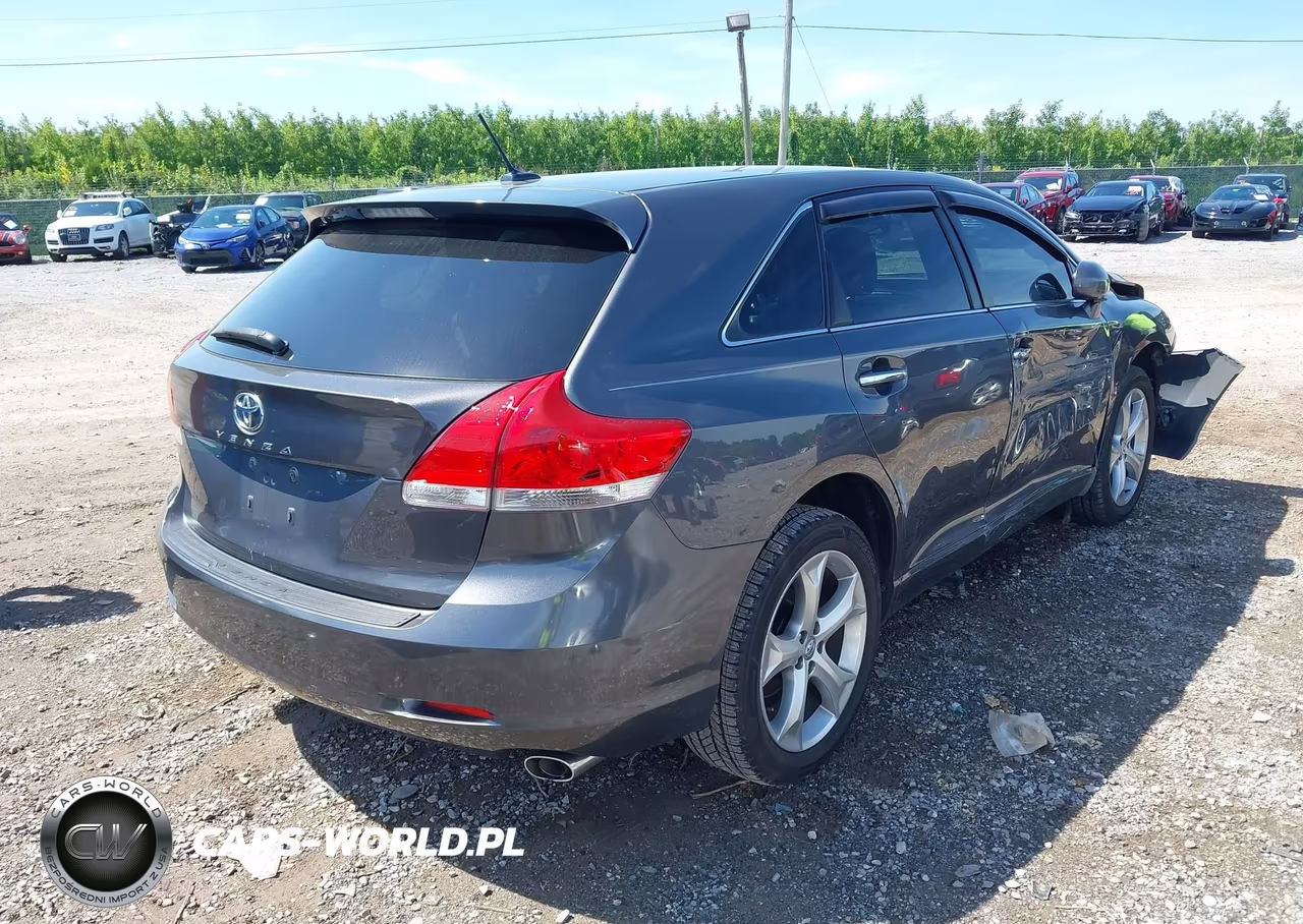 2009 Toyota Venza Base V6 VIN:4T3ZK11A49U004351 - 4