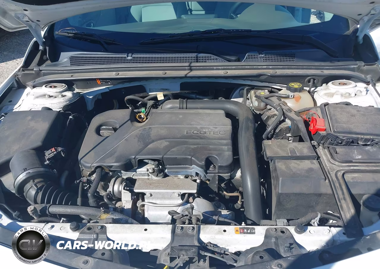 2019 Chevrolet Malibu Lt VIN:1G1ZD5ST4KF108243 - 10