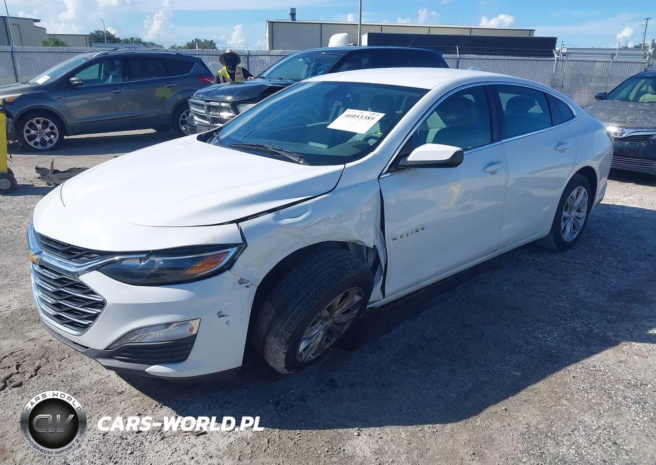 2019 Chevrolet Malibu Lt VIN:1G1ZD5ST4KF108243 - 2