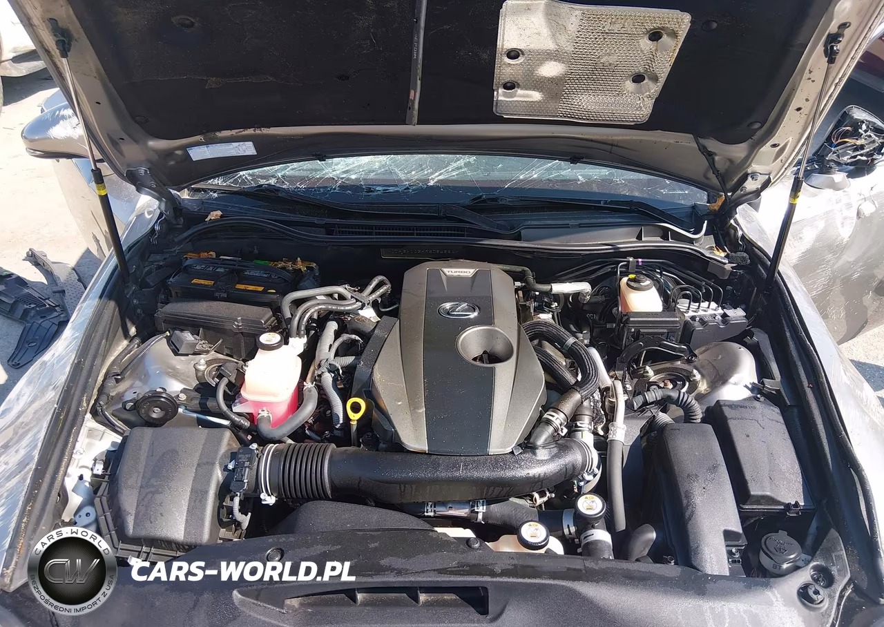 2019 Lexus Is 300 VIN:JTHBA1D2XK5095954 - 9