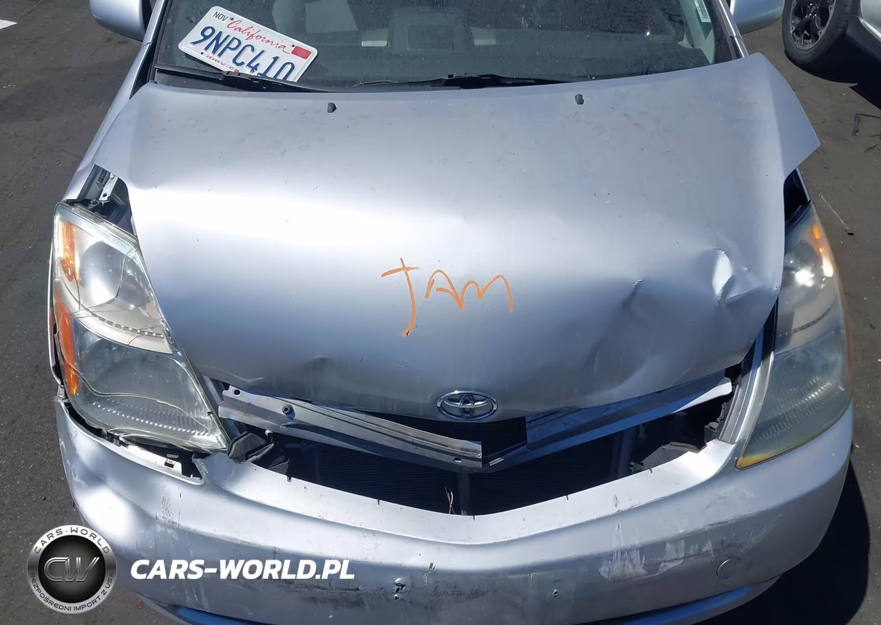 2009 Toyota Prius VIN:JTDKB20U297841436 - 10