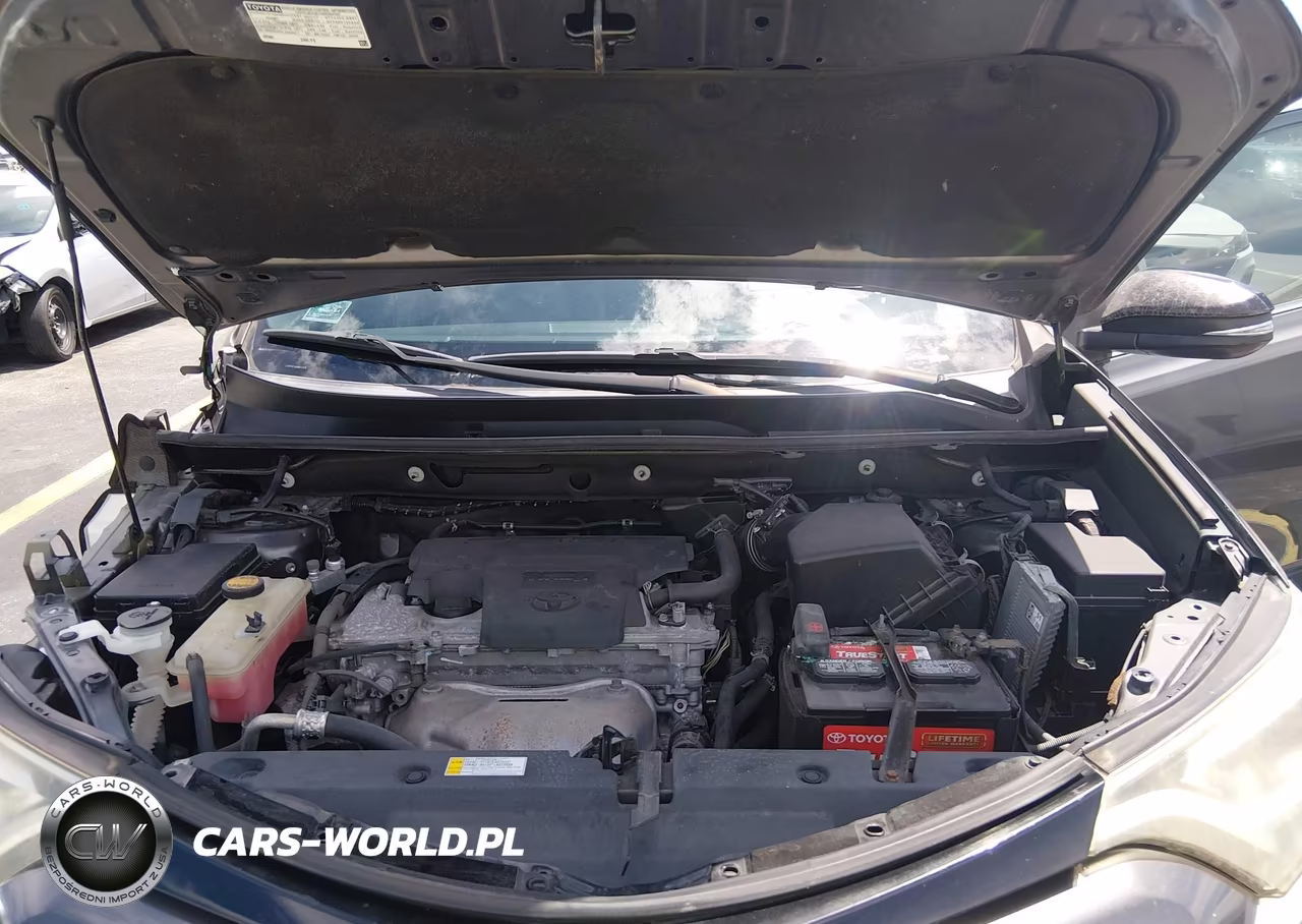2016 Toyota Rav4 Se VIN:2T3NFREV5GW307375 - 10