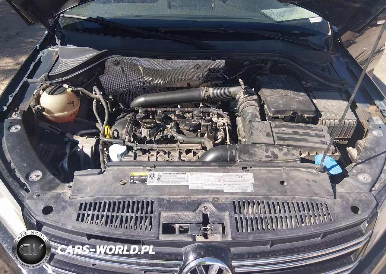 2016 Volkswagen Tiguan S VIN:WVGBV7AX2GW529077 - 10