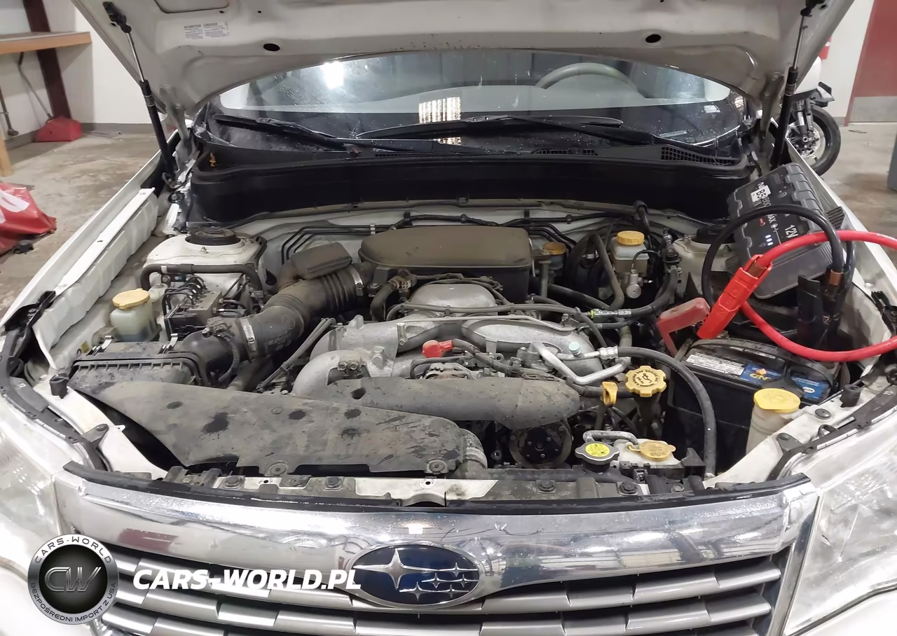 2010 Subaru Forester 2.5X Premium VIN:JF2SH6CC2AG728858 - 10