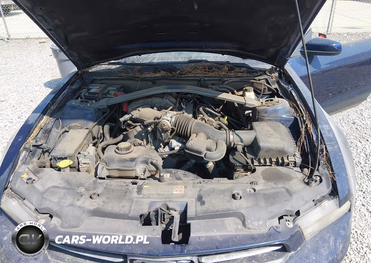 2012 Ford Mustang V6 Premium VIN:1ZVBP8EM0C5255301 - 10