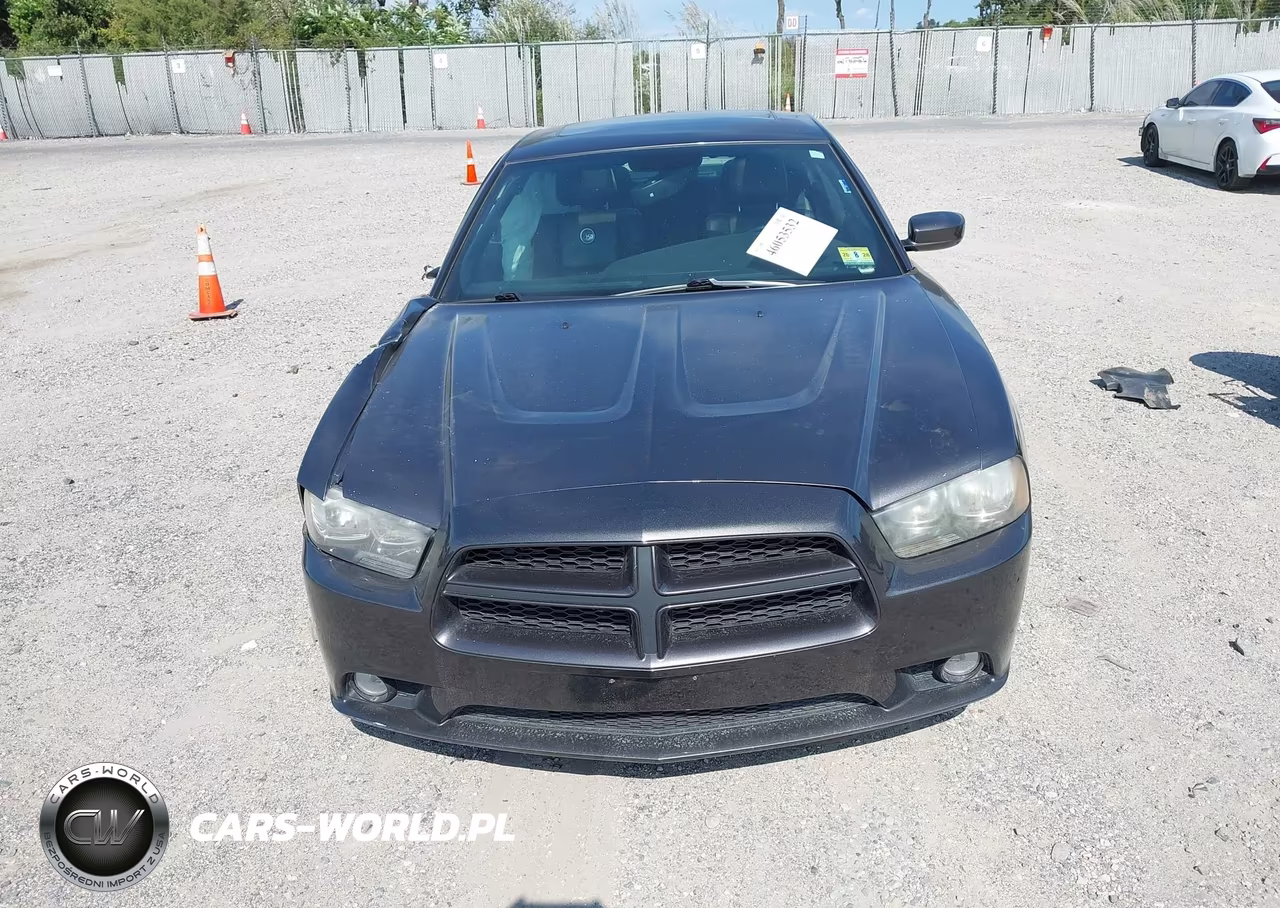 2014 Dodge Charger Sxt 100Th Anniversary VIN:2C3CDXHG5EH219894 - 12