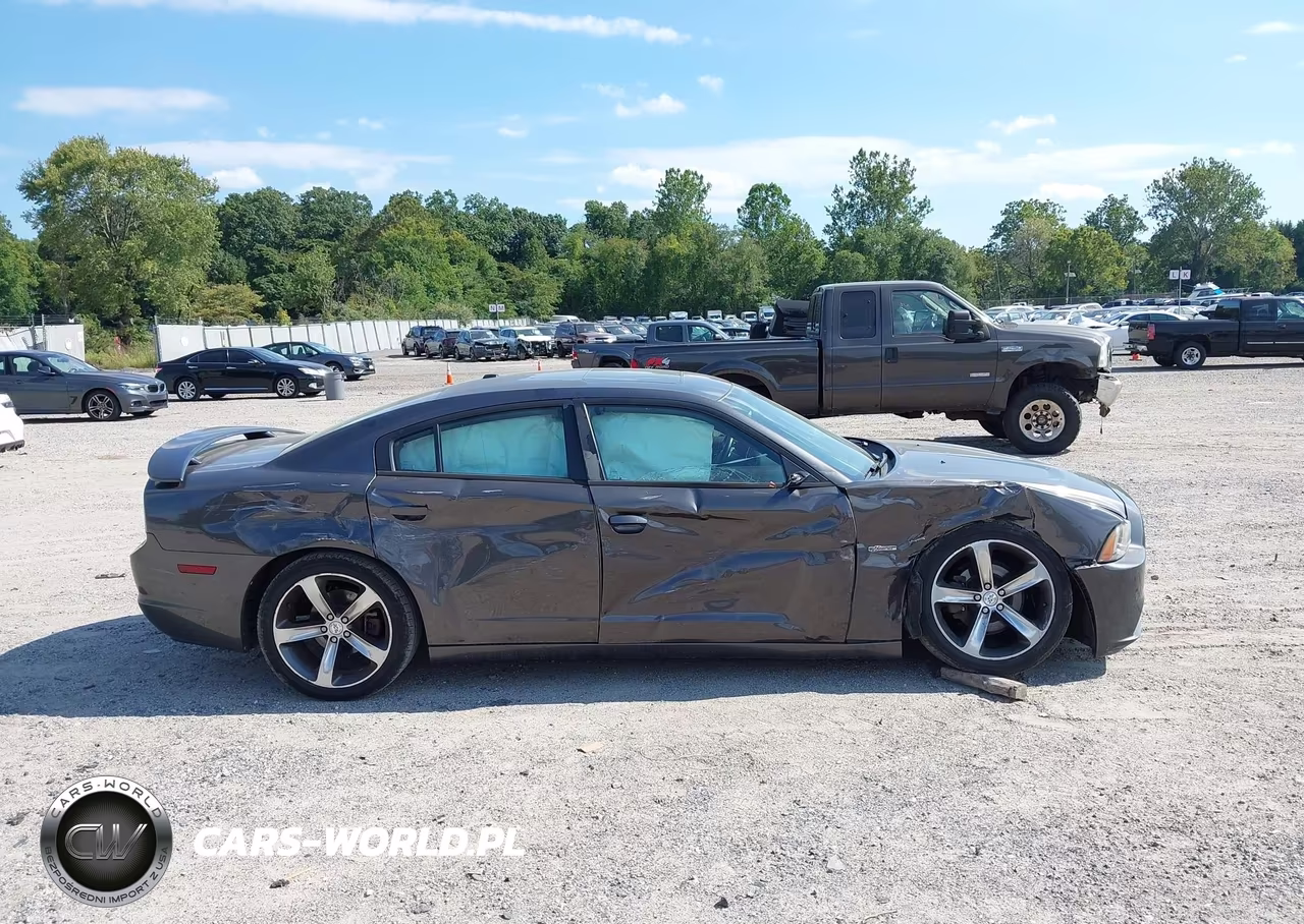2014 Dodge Charger Sxt 100Th Anniversary VIN:2C3CDXHG5EH219894 - 13