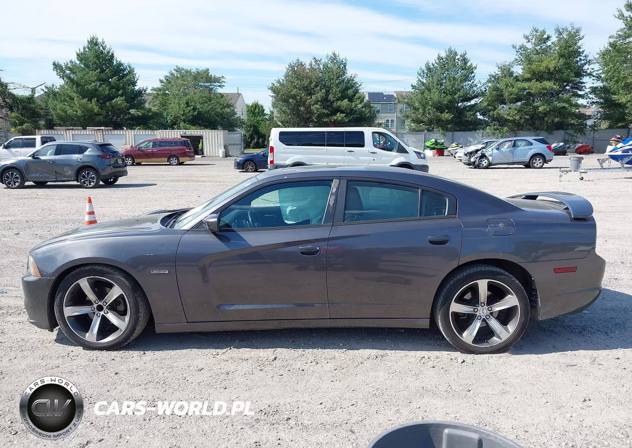 2014 Dodge Charger Sxt 100Th Anniversary VIN:2C3CDXHG5EH219894 - 14