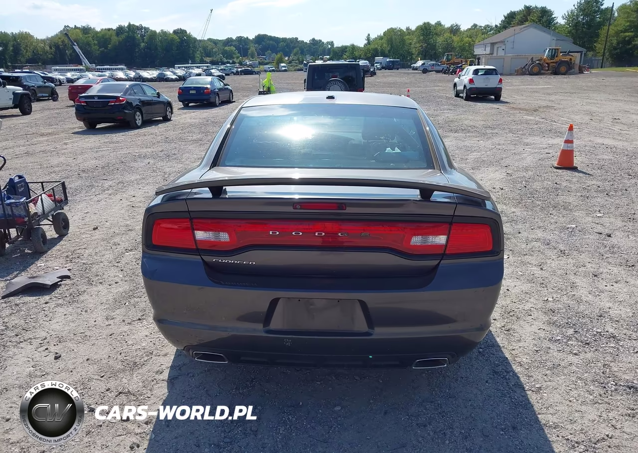 2014 Dodge Charger Sxt 100Th Anniversary VIN:2C3CDXHG5EH219894 - 16