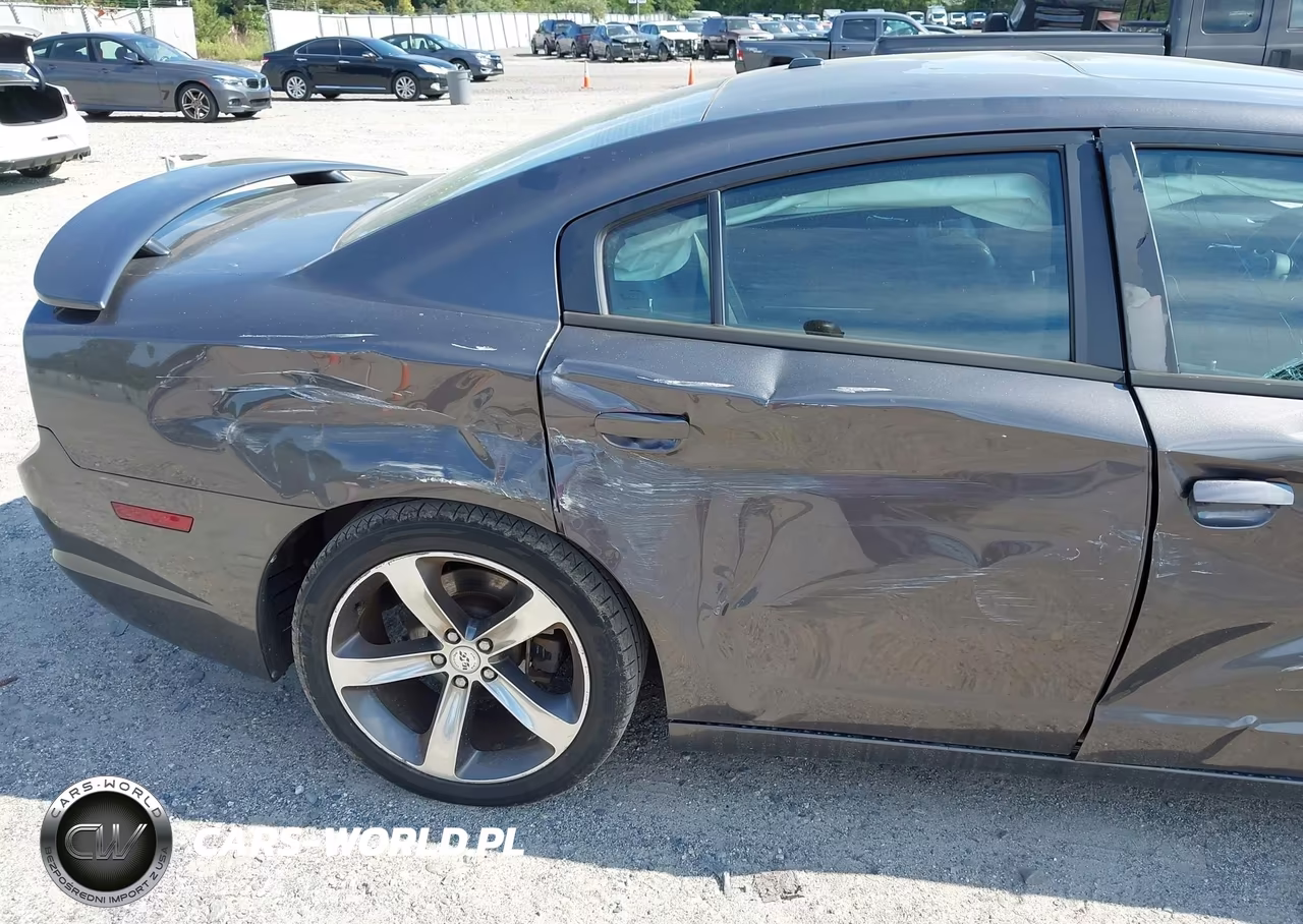 2014 Dodge Charger Sxt 100Th Anniversary VIN:2C3CDXHG5EH219894 - 18