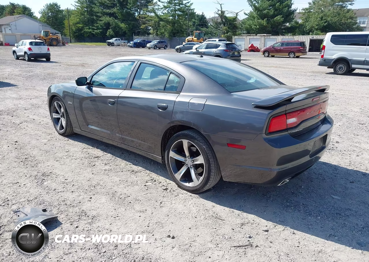 2014 Dodge Charger Sxt 100Th Anniversary VIN:2C3CDXHG5EH219894 - 3