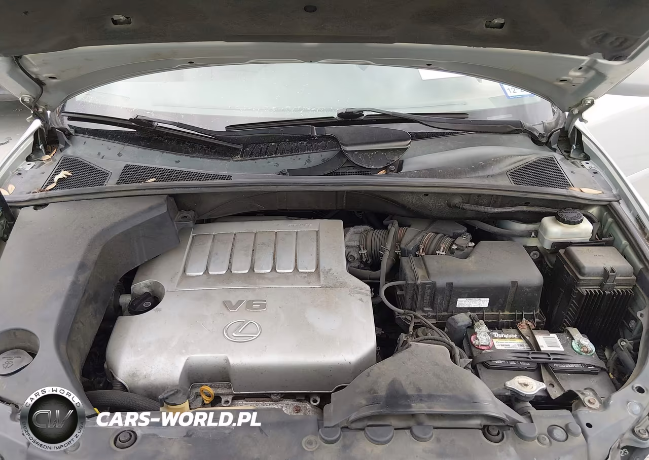 2007 Lexus Rx 350 VIN:2T2HK31U67C023813 - 10