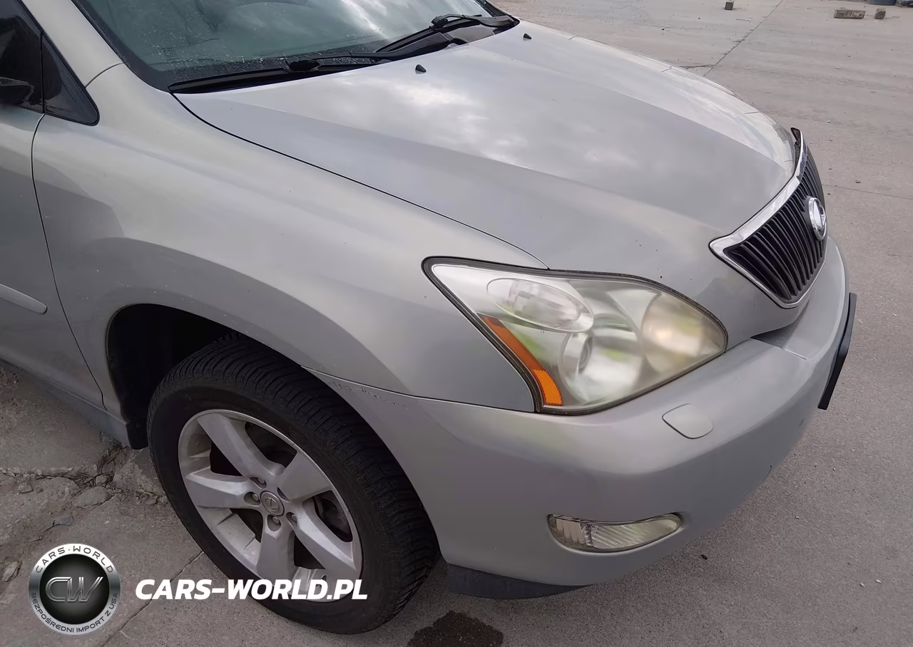 2007 Lexus Rx 350 VIN:2T2HK31U67C023813 - 6