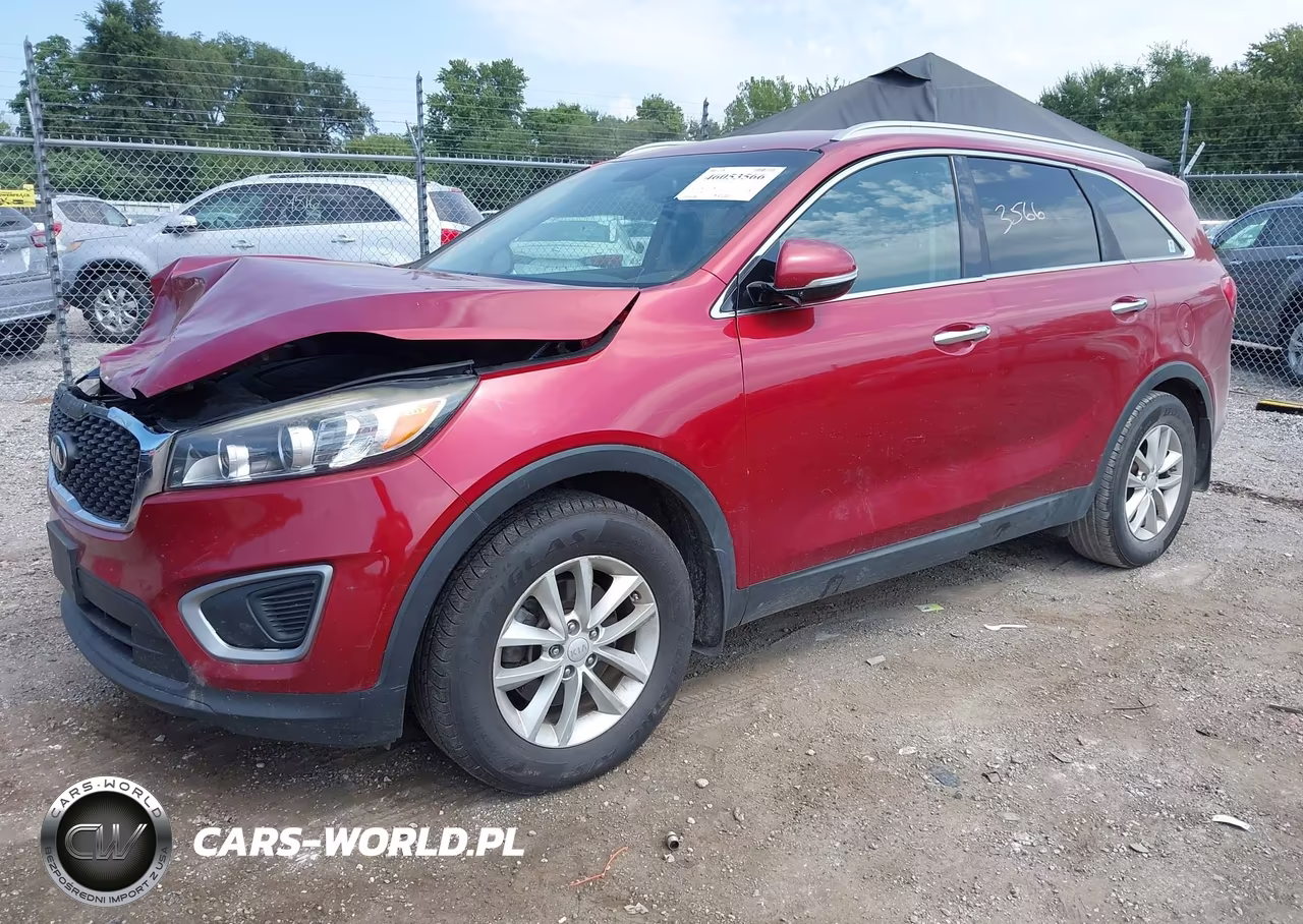 2017 Kia Sorento 3.3L Lx VIN:5XYPG4A52HG309096 - 2