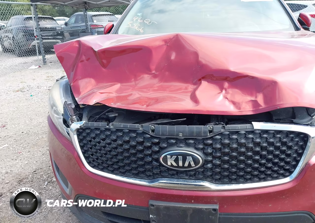 2017 Kia Sorento 3.3L Lx VIN:5XYPG4A52HG309096 - 6