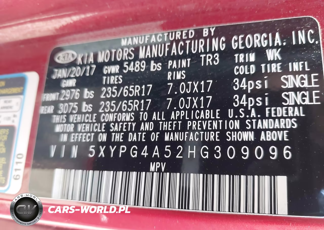 2017 Kia Sorento 3.3L Lx VIN:5XYPG4A52HG309096 - 9