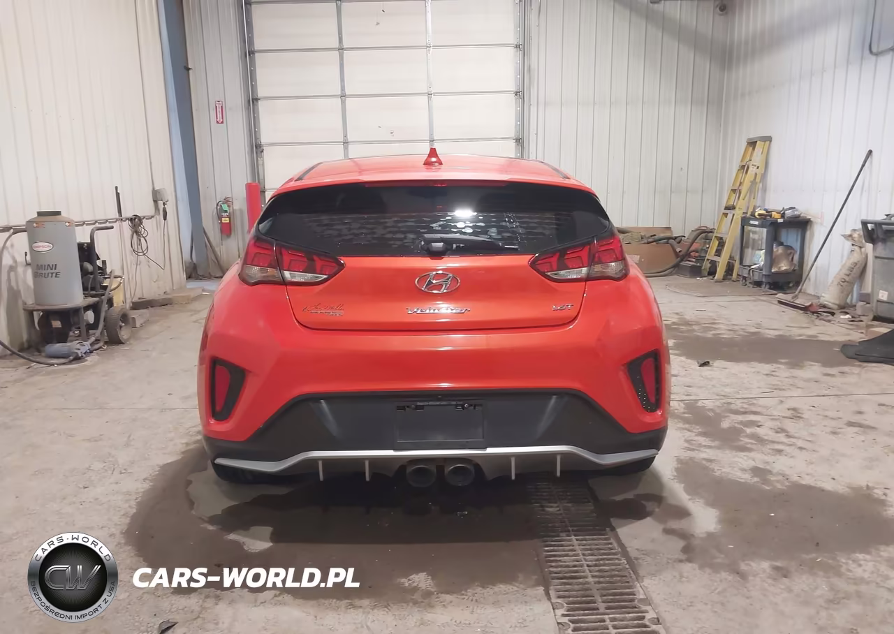 2019 Hyundai Veloster Turbo VIN:KMHTH6AB5KU002276 - 17