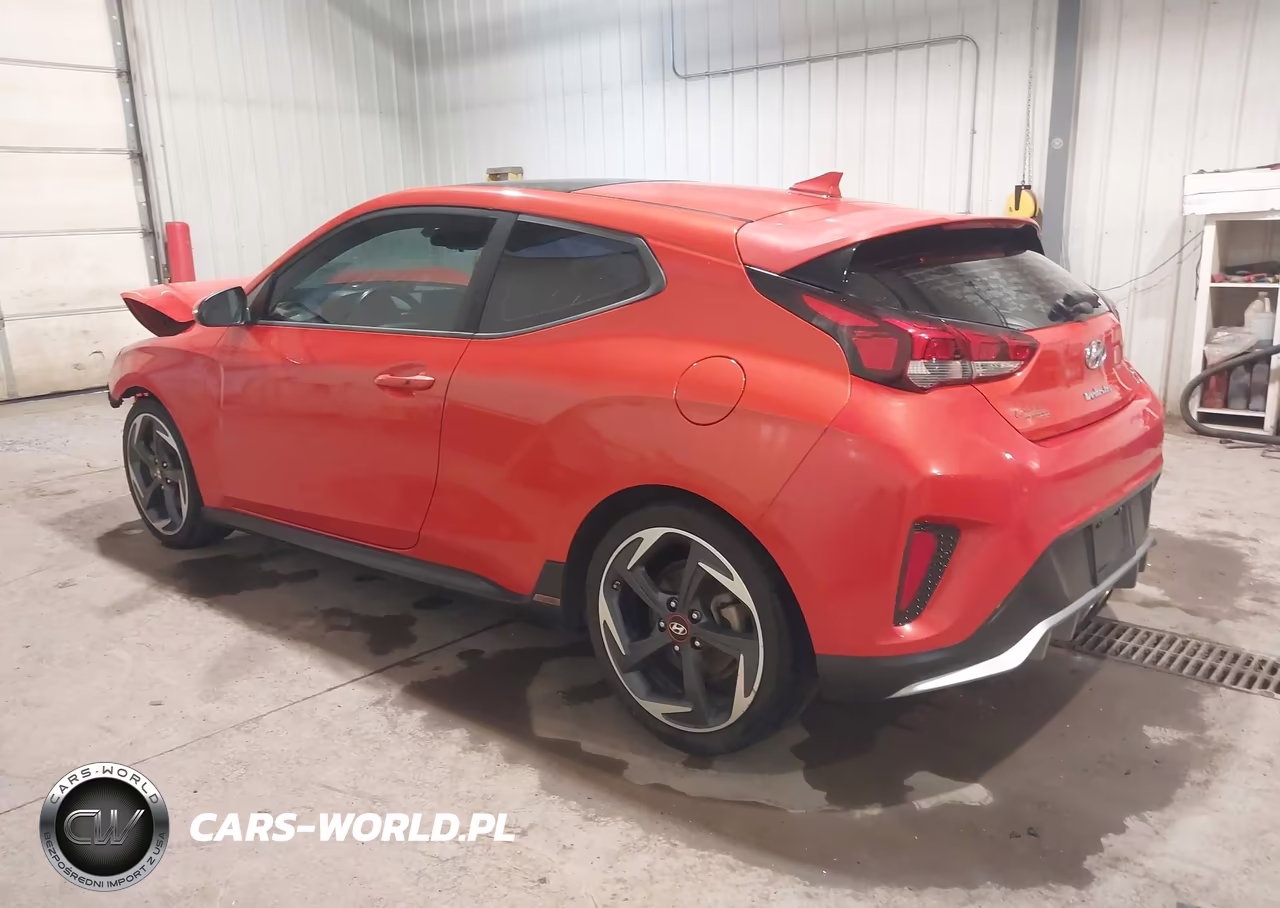 2019 Hyundai Veloster Turbo VIN:KMHTH6AB5KU002276 - 3