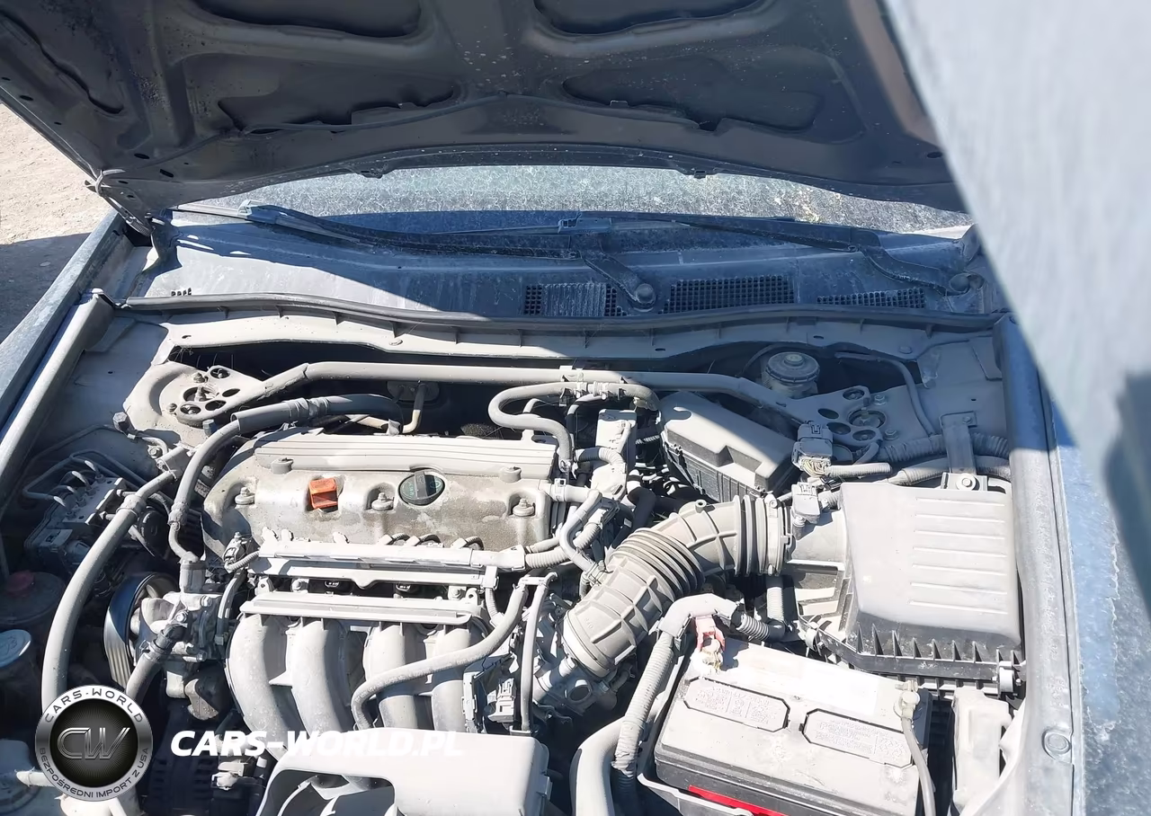 2010 Honda Accord 2.4 Ex VIN:1HGCP2F70AA073455 - 10