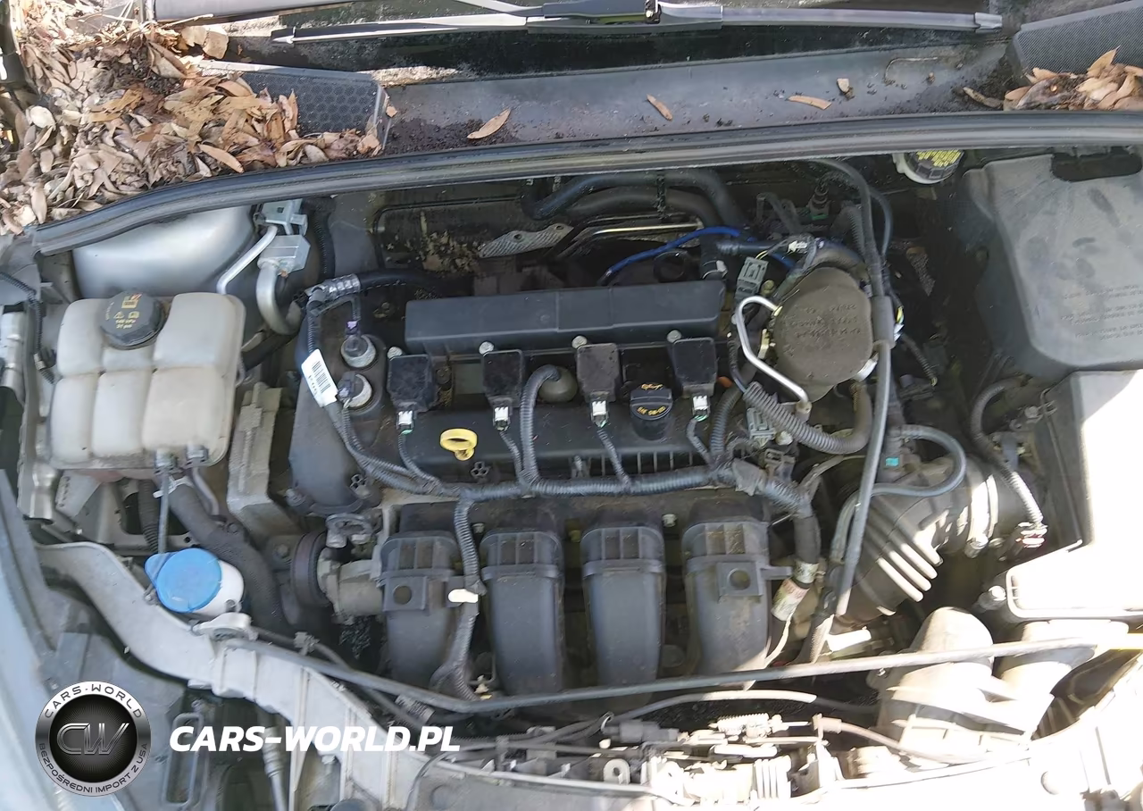 2015 Ford Focus Se VIN:1FADP3F29FL319109 - 10