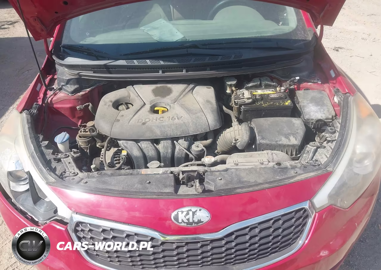 2014 Kia Forte Lx VIN:KNAFX4A65E5088518 - 10