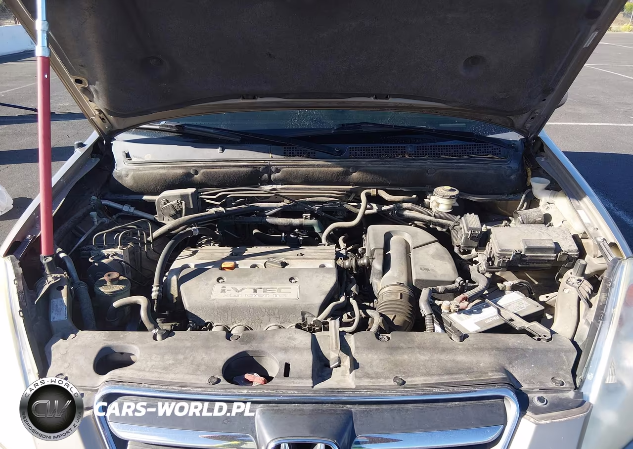 2005 Honda Cr-V Se VIN:JHLRD789X5C019848 - 10