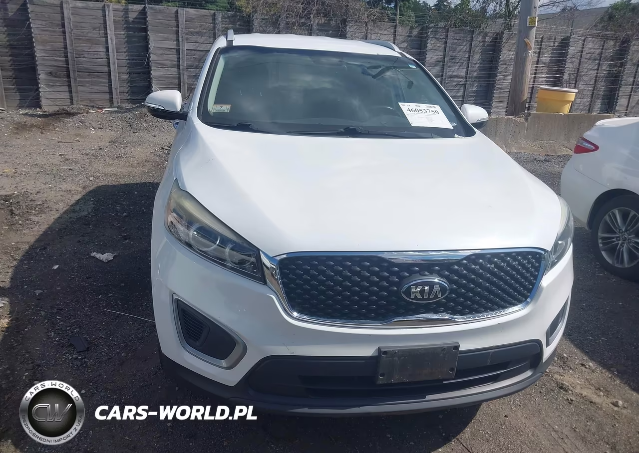 2017 Kia Sorento 2.4L Lx VIN:5XYPGDA36HG264520 - 12
