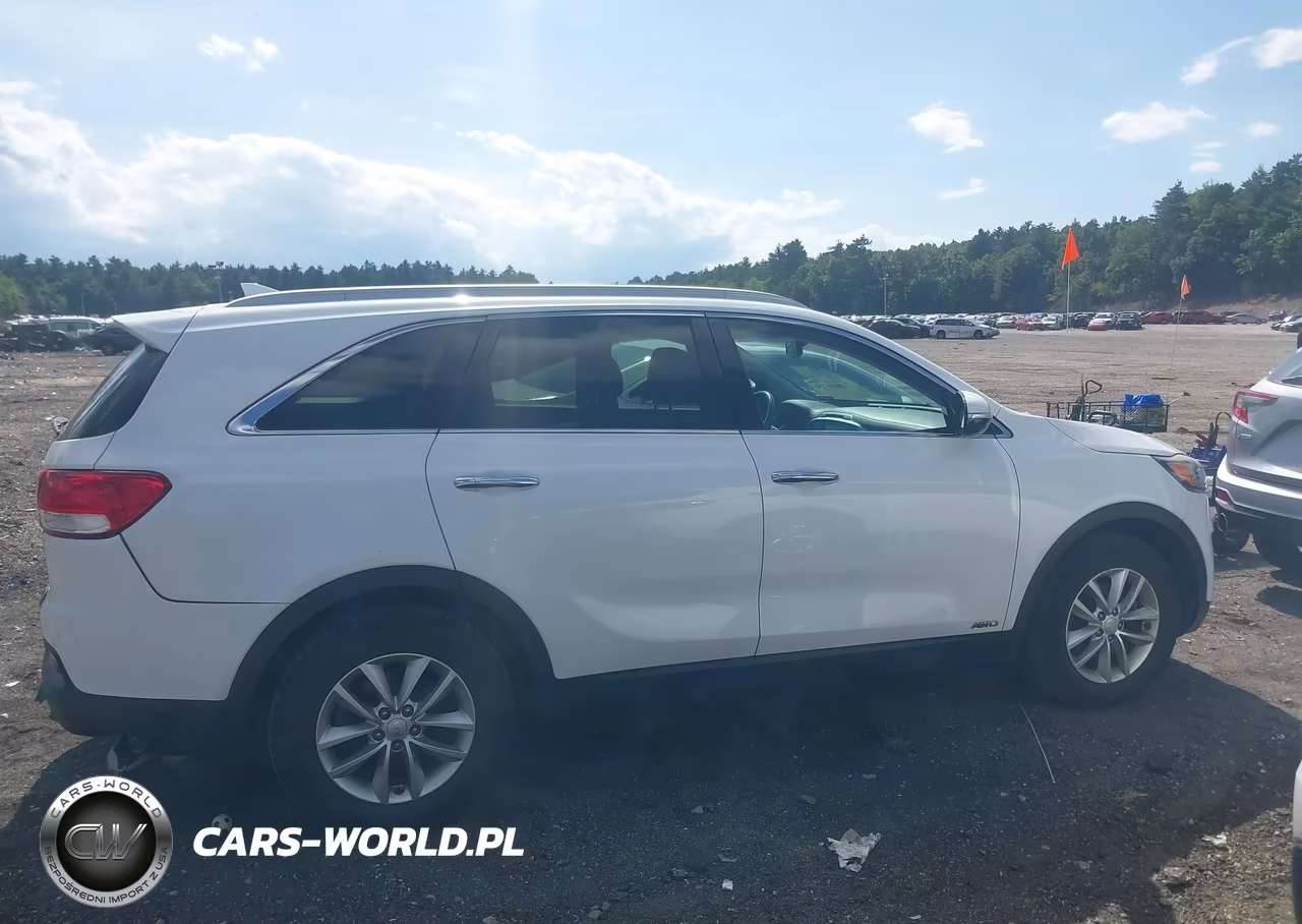 2017 Kia Sorento 2.4L Lx VIN:5XYPGDA36HG264520 - 13