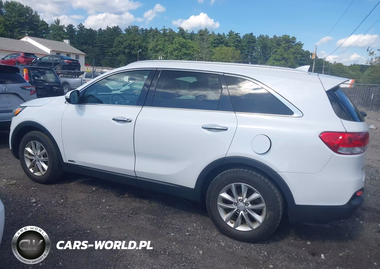 2017 Kia Sorento 2.4L Lx VIN:5XYPGDA36HG264520 - 14