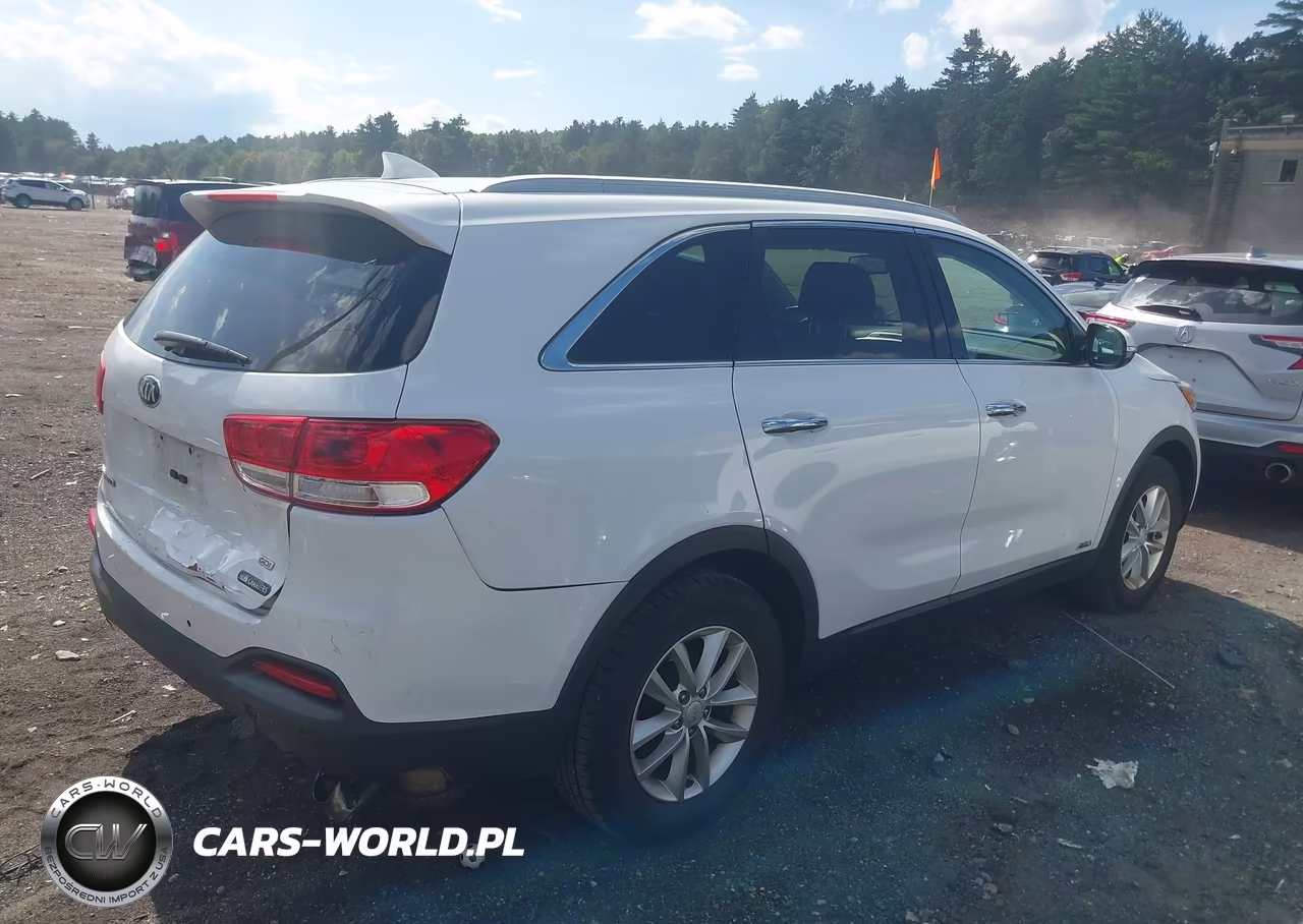 2017 Kia Sorento 2.4L Lx VIN:5XYPGDA36HG264520 - 4