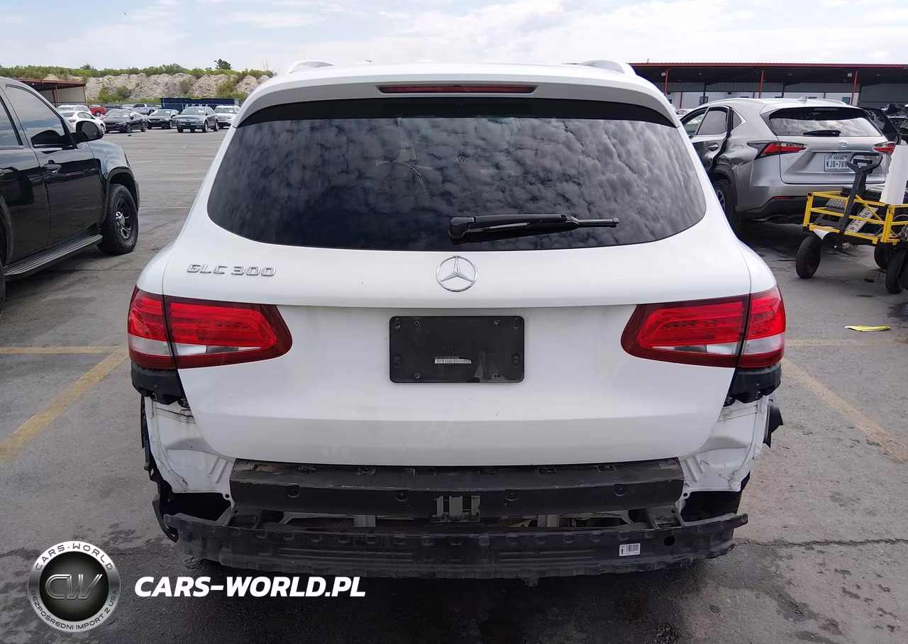 2017 Mercedes-Benz Glc 300 VIN:WDC0G4JB0HF182482 - 17