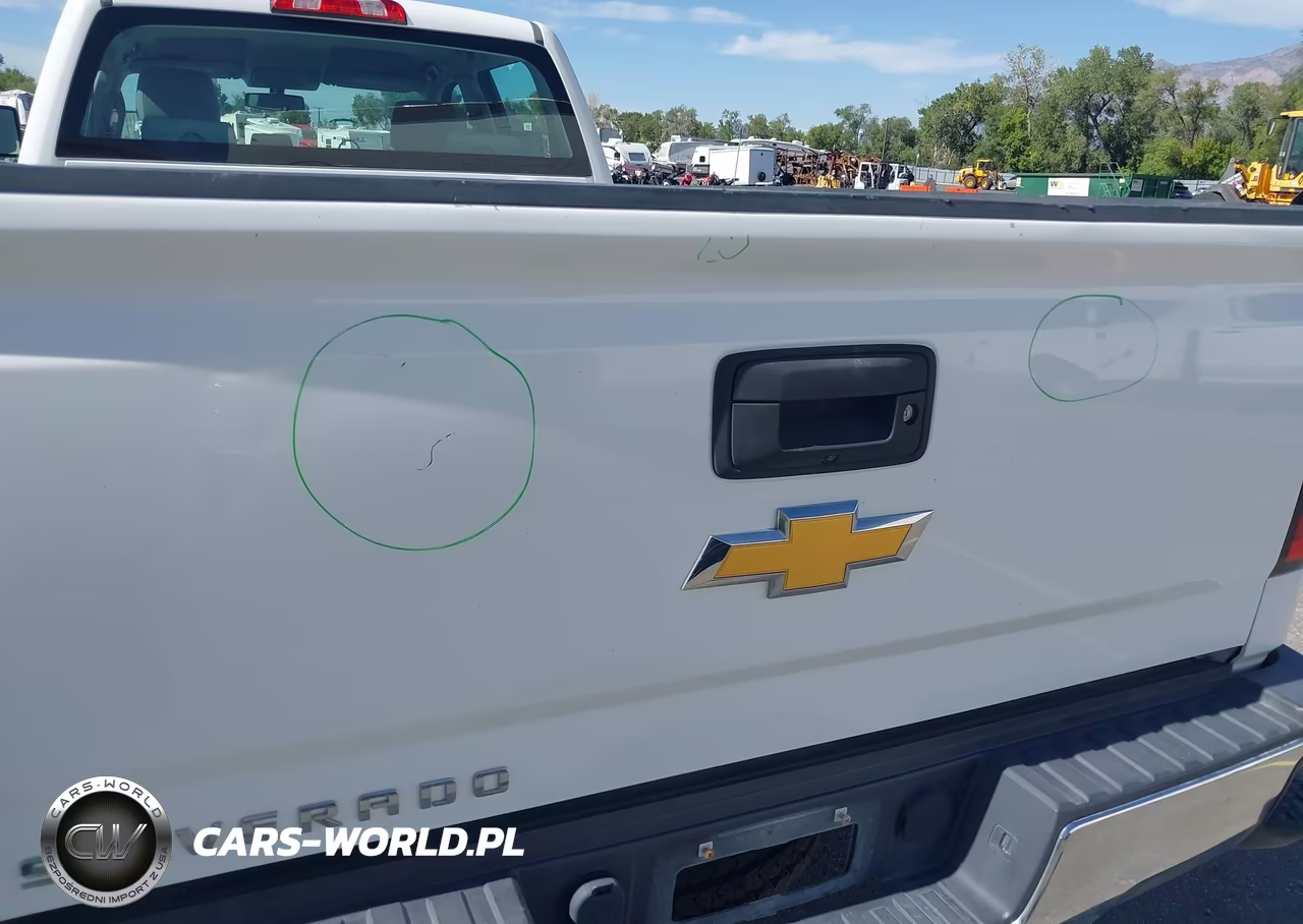 2018 Chevrolet Silverado 3500Hd Wt VIN:1GC4KYCG9JF271804 - 12