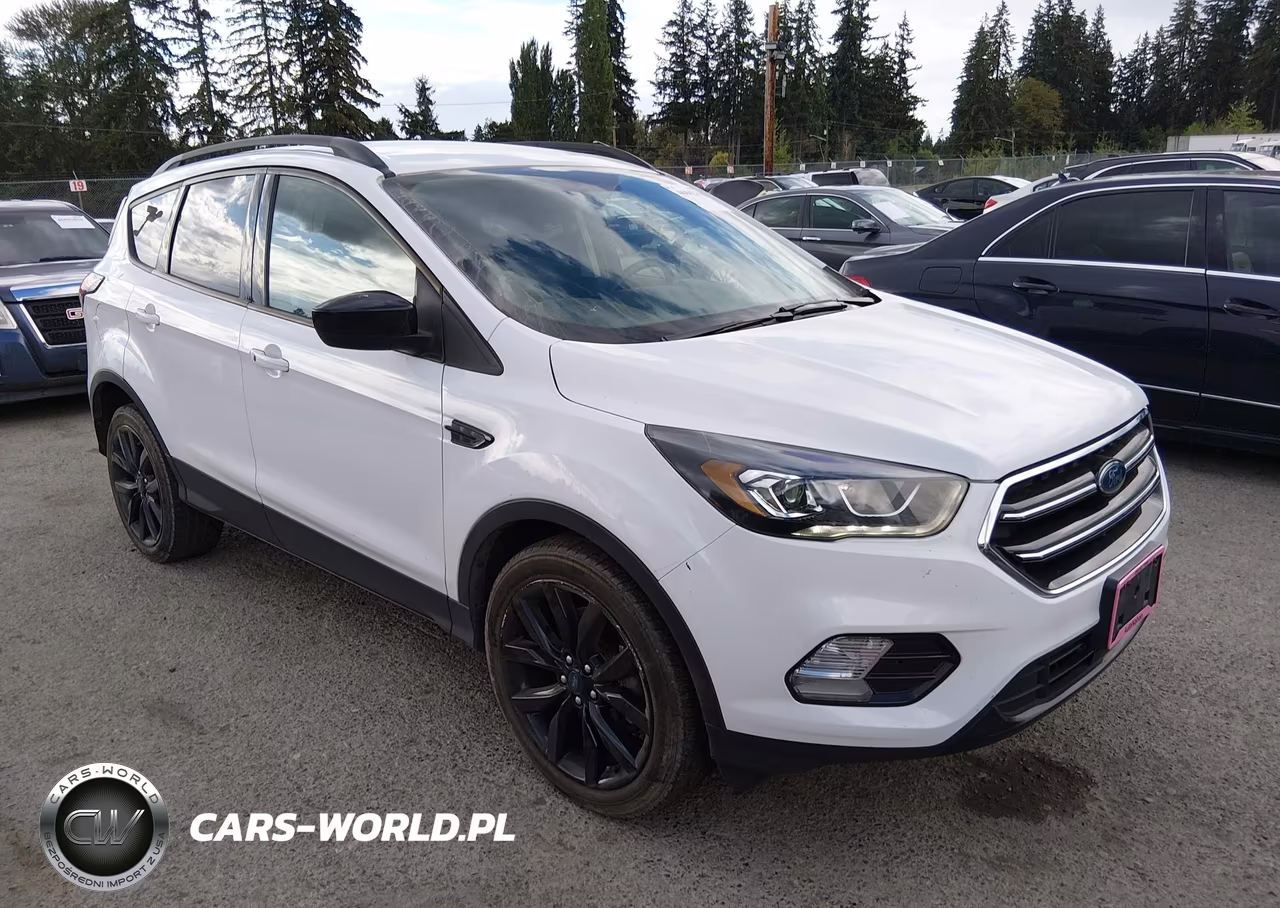 2019 Ford Escape Se