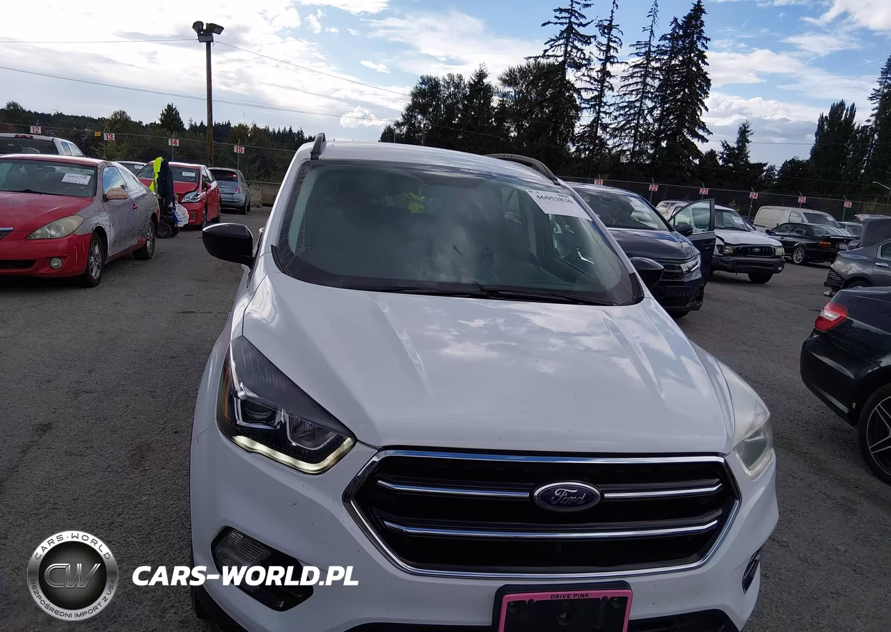 2019 Ford Escape Se VIN:1FMCU9GD7KUC06051 - 19