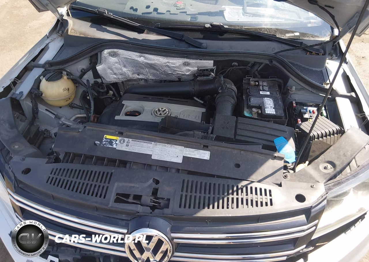 2013 Volkswagen Tiguan S VIN:WVGAV3AXXDW596204 - 10