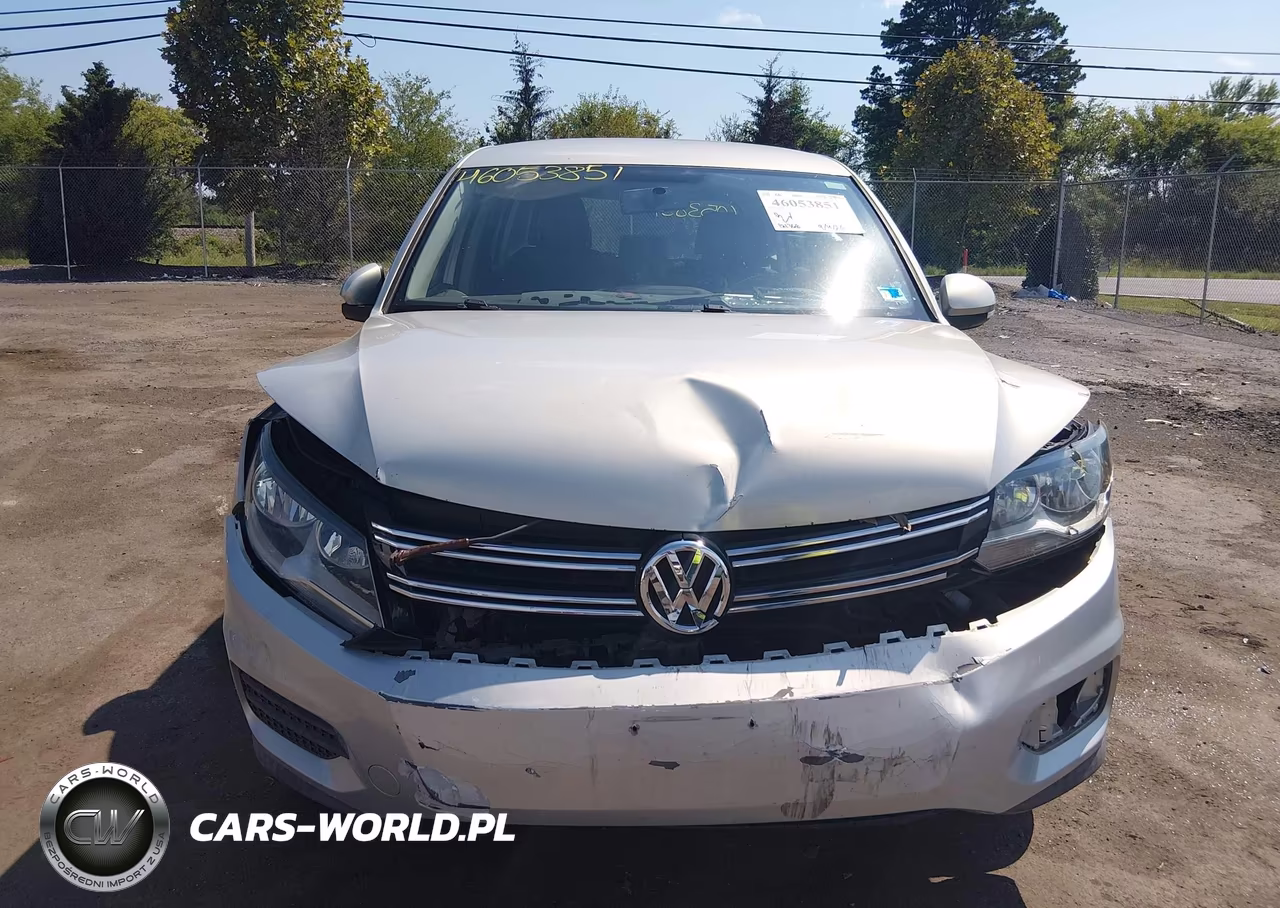 2013 Volkswagen Tiguan S VIN:WVGAV3AXXDW596204 - 12