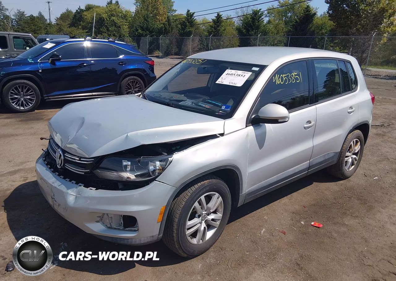2013 Volkswagen Tiguan S VIN:WVGAV3AXXDW596204 - 2
