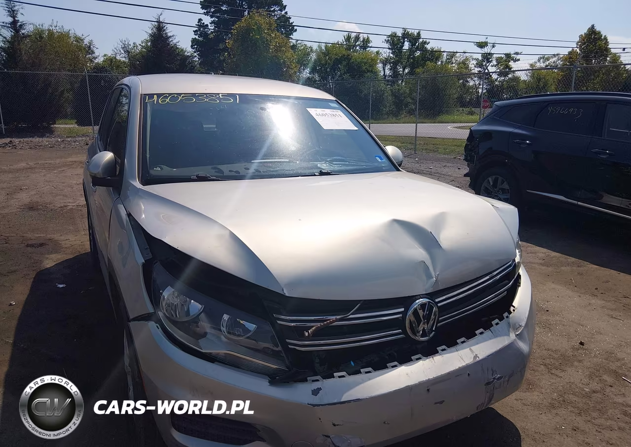 2013 Volkswagen Tiguan S VIN:WVGAV3AXXDW596204 - 6
