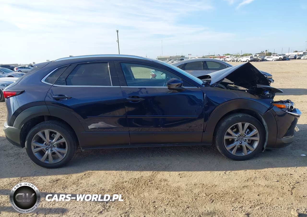2024 Mazda Cx-30 2.5 S Premium Package VIN:3MVDMBDM3RM671802 - 13