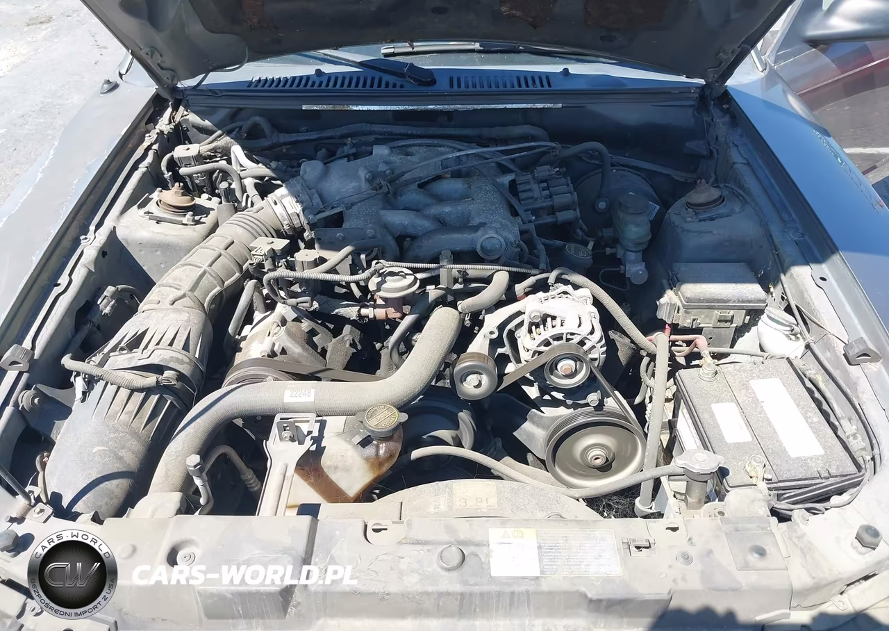 2001 Ford Mustang VIN:1FAFP44491F132883 - 10