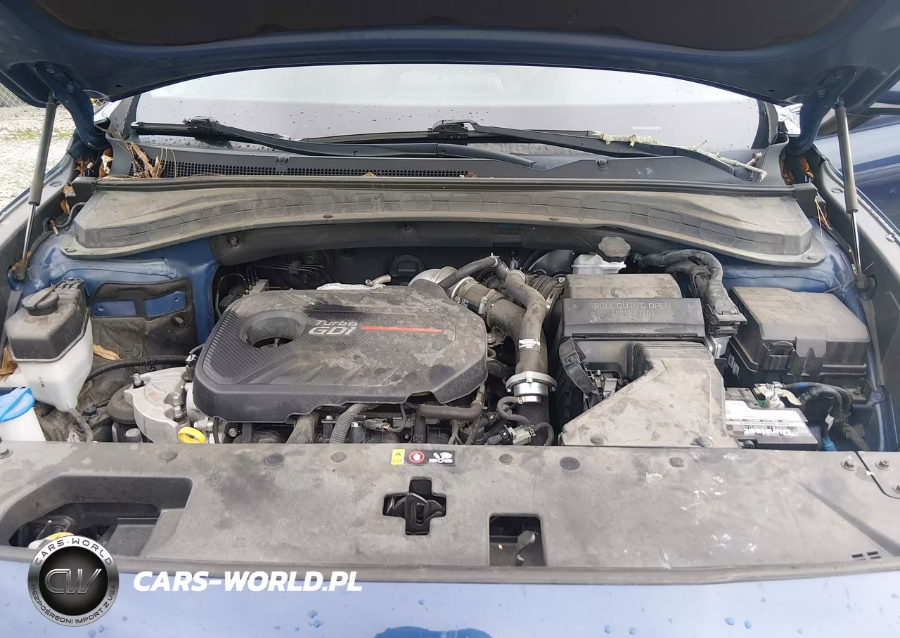 2020 Hyundai Santa Fe Sel 2.0T VIN:5NMS33AA1LH226450 - 10