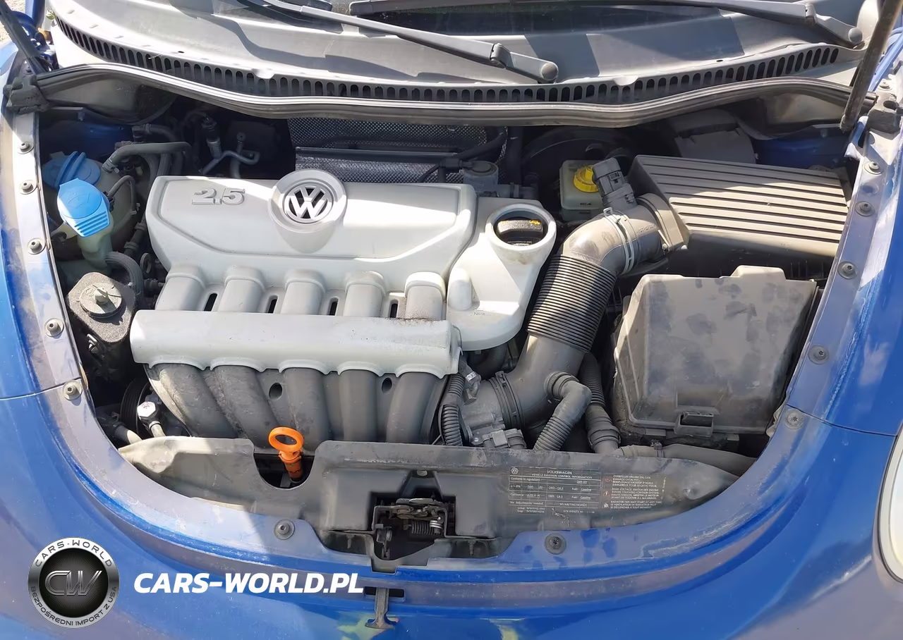 2007 Volkswagen New Beetle 2.5 VIN:3VWSF31Y47M402847 - 10