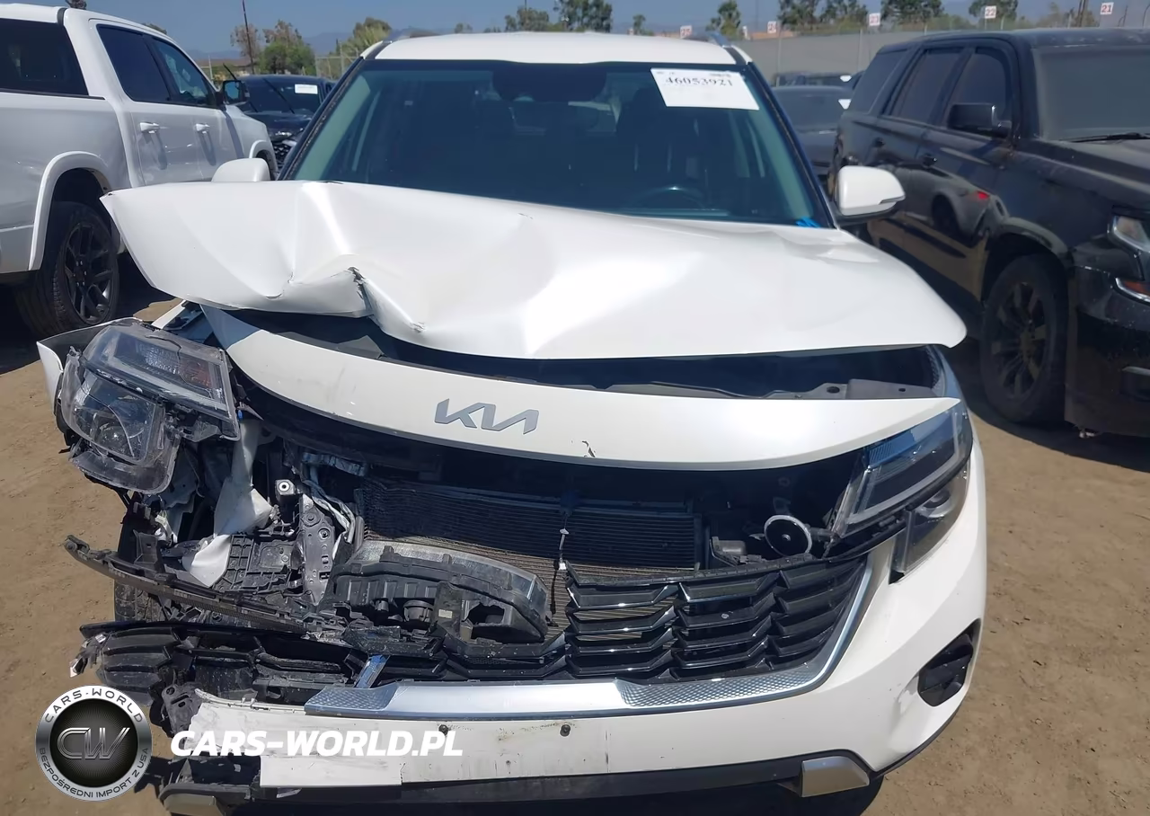 2024 Kia Seltos Ex VIN:KNDER2AA1R7515821 - 12