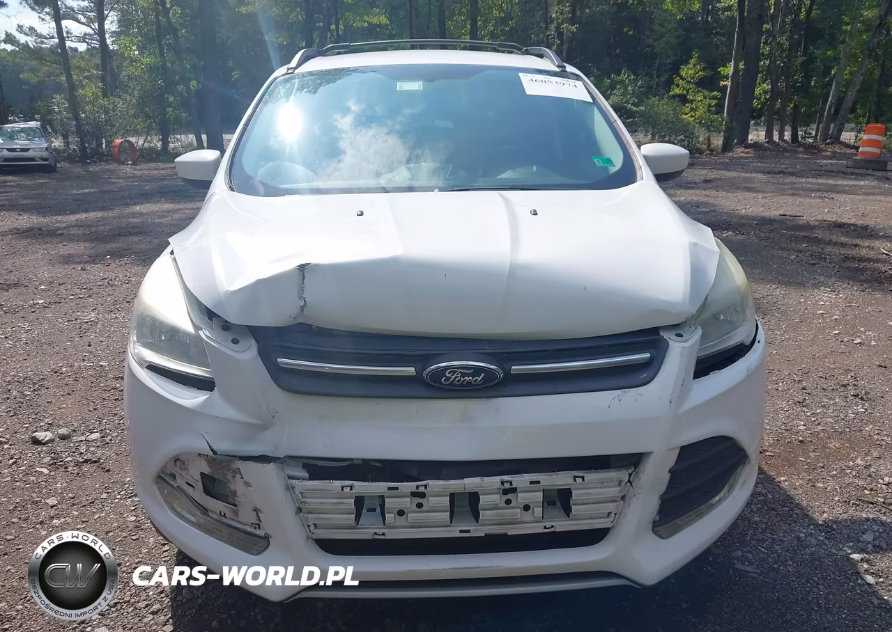 2014 Ford Escape Se VIN:1FMCU9GX8EUD21482 - 12