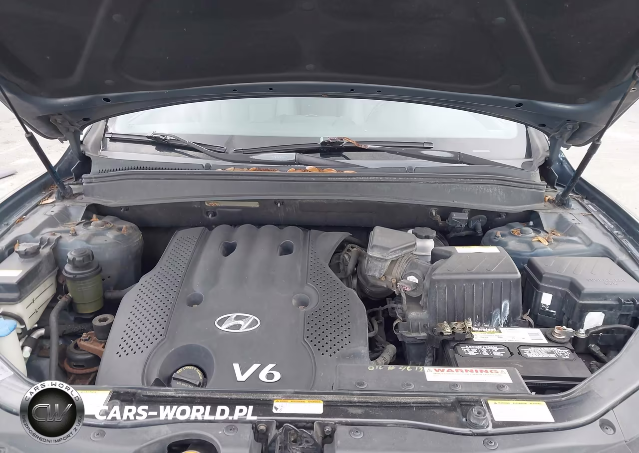 2007 Hyundai Santa Fe Gls VIN:5NMSG13DX7H114865 - 10