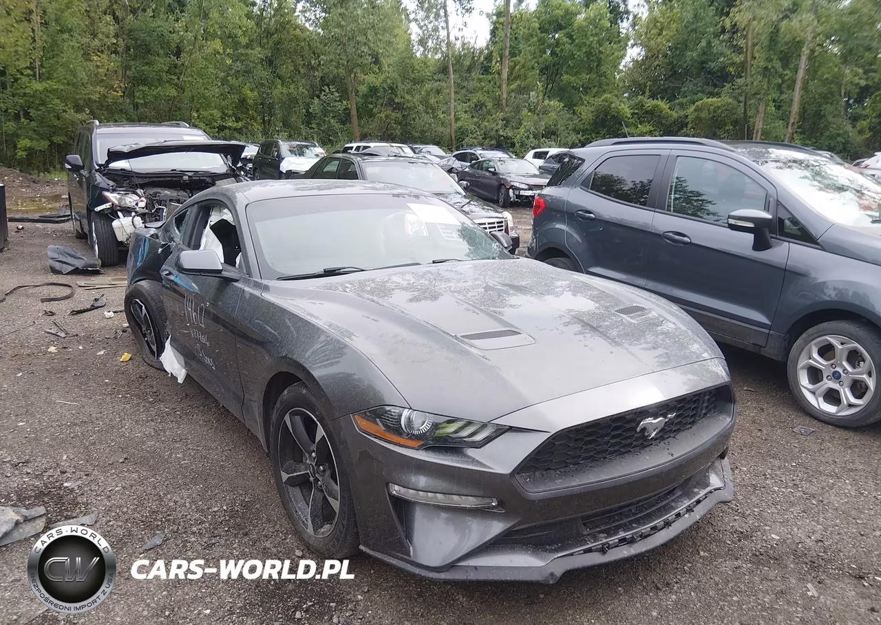 2018 Ford Mustang Ecoboost VIN:1FA6P8TH5J5113541 - 1